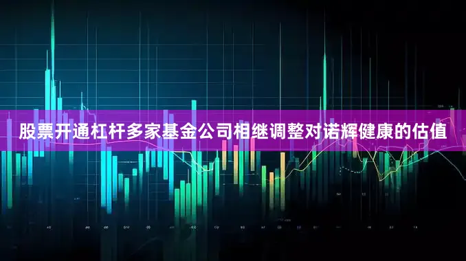 股票开通杠杆多家基金公司相继调整对诺辉健康的估值